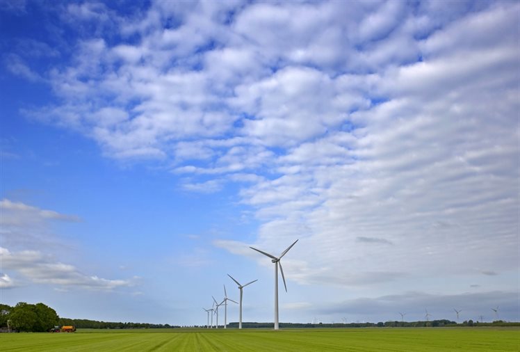 Windmolens in landschap