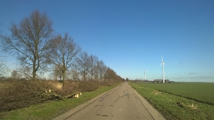 houtkap