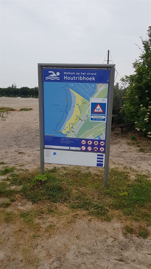 Houtribstrand blauwalg 16 juni 2020